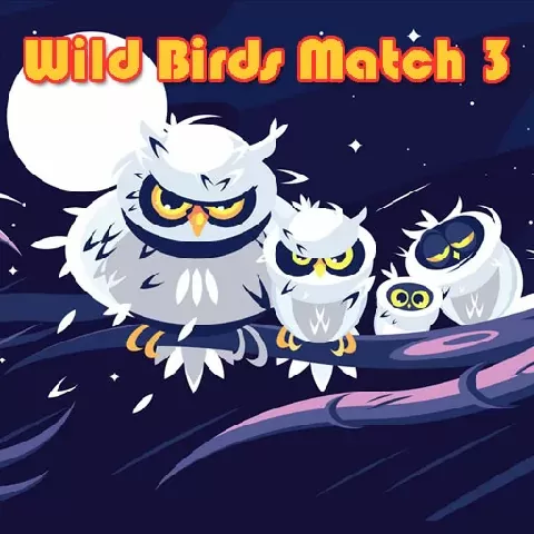Wild Birds Match 3